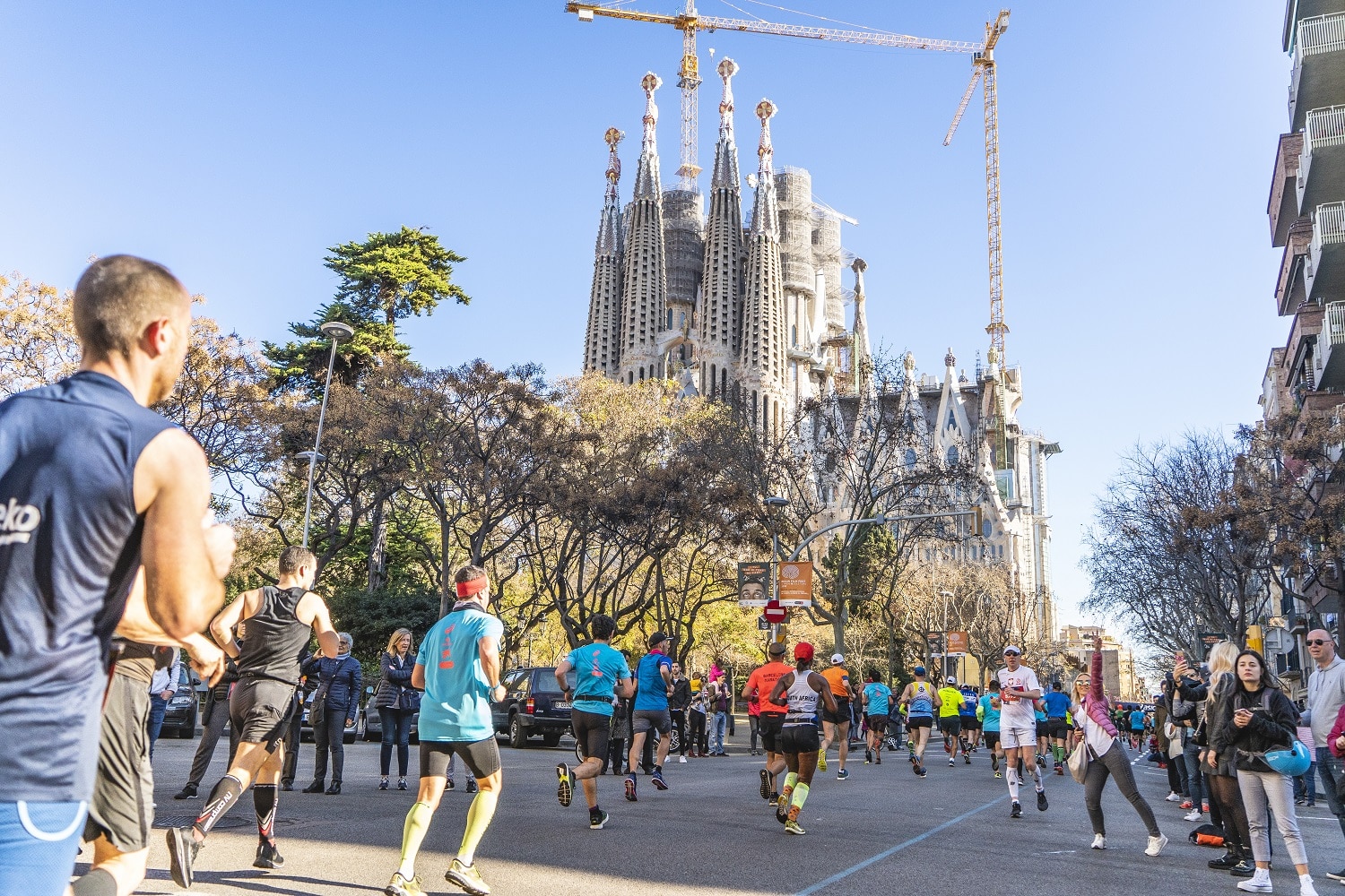 Barcelona Half Marathon 2025 Challengers