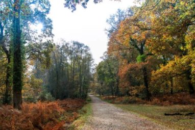 Run or Hike for Challengers today!